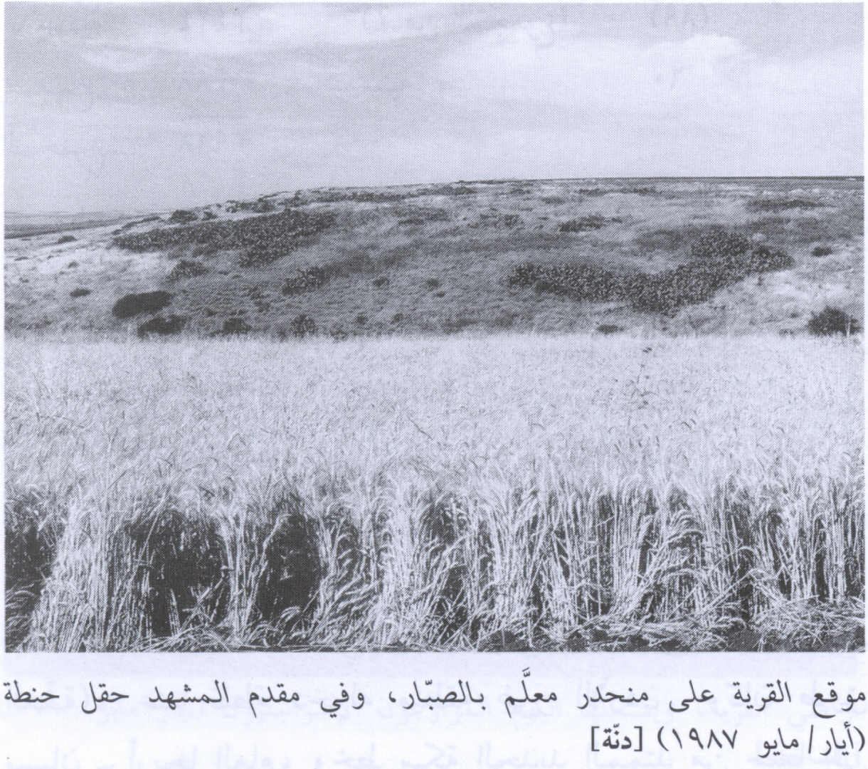 صورة لقرية دنه - فلسطين: : منظر لموقع القرية، بالقرب من شجر الصبر، الذي دمرها الصهاينة وطهروا عرقياً سكانها.
