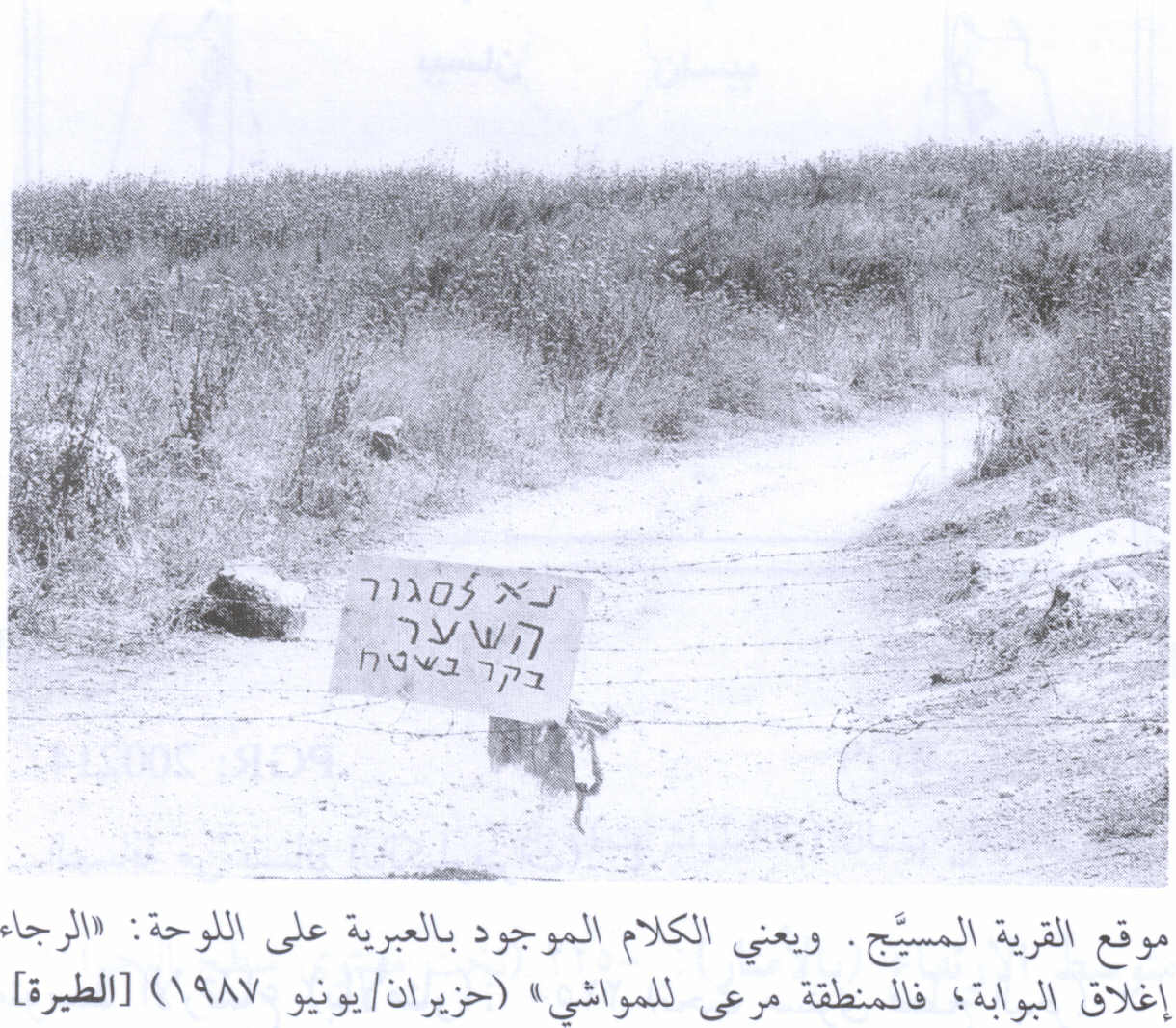 صورة لقرية الطيرة الزعبية (المرج) - فلسطين: : منظر لموقع القرية التي دمرها الصهاينة وطهروا عرقياً سكانها وألان تستخدم لرعاية الماشية، اُنقر الصورة لتكبيرها. 1987
