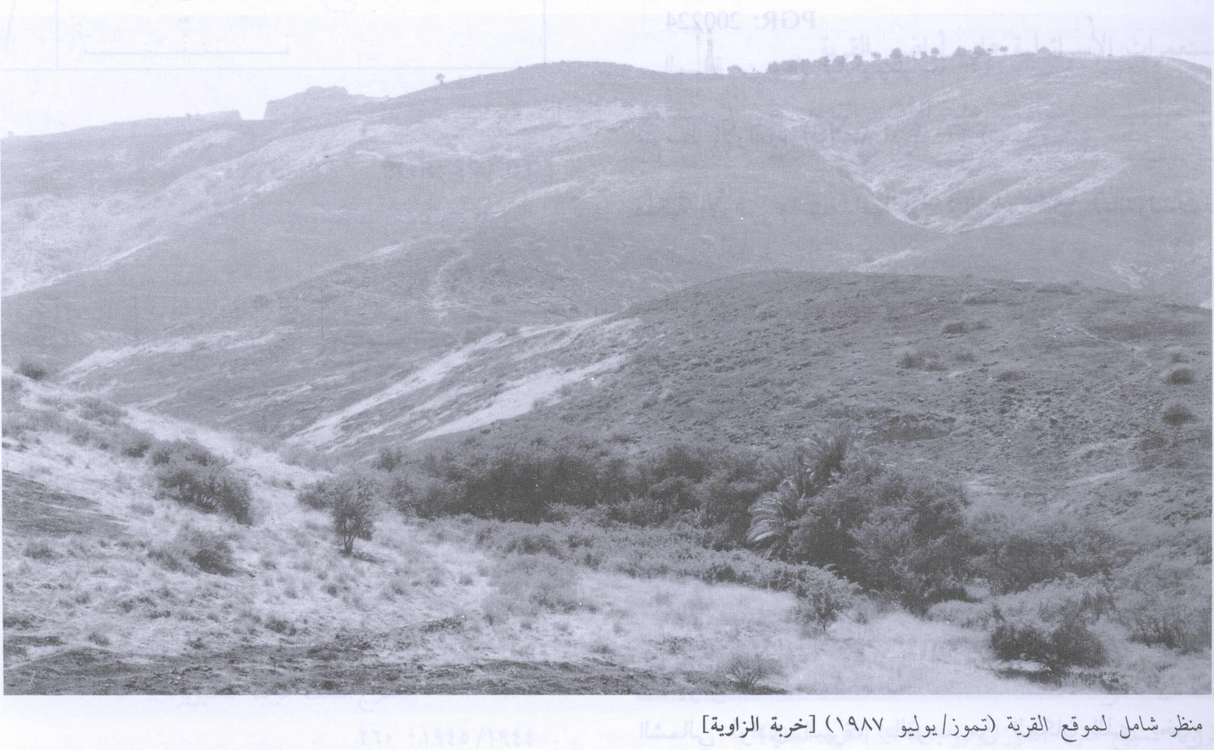 صورة لقرية خربة الزاويه (البشاتوة) - فلسطين: : منظر لموقع القرية التي دمرها الصهاينة وطهروا عرقياً سكانها، اُنقر الصورة لتكبيرها. 1987