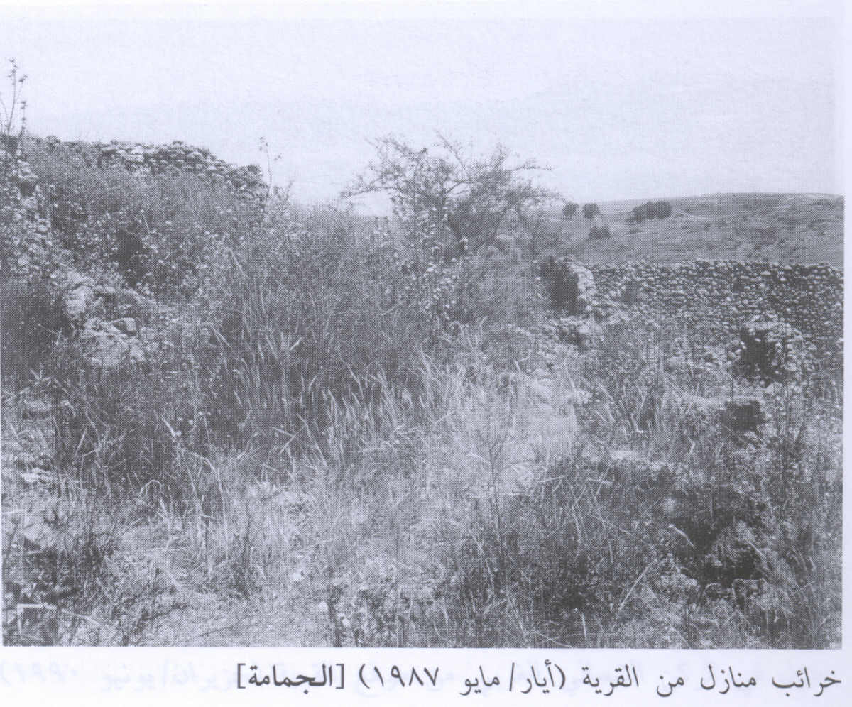 صورة لقرية الجمامه - فلسطين: : اطلال البيوت التي هدمها الصهاينة ، اُنقر الصورة لتكبيرها. 1987