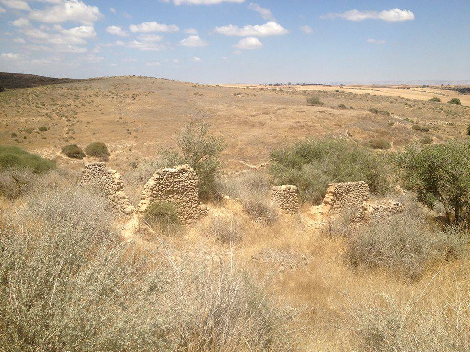 صورة لقرية الجمامه - فلسطين: : صوره حديثه سنه 2013...منظر عام لقريه الجمامه ...ما تبقى من بيوت القريه المهجره