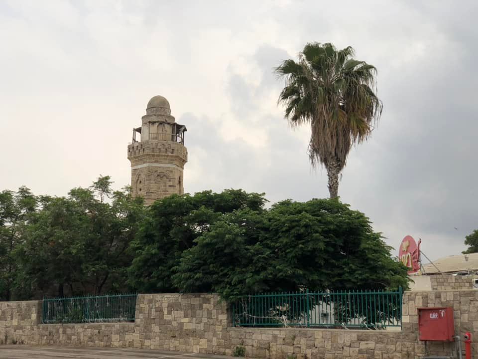 صورة لمدينة المجدل عسقلان - فلسطين: : Let us see what the 