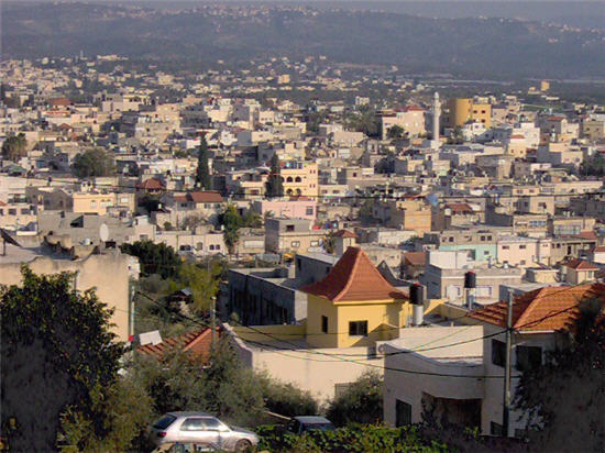 صورة لقرية جلجولية - فلسطين: : جلجولية