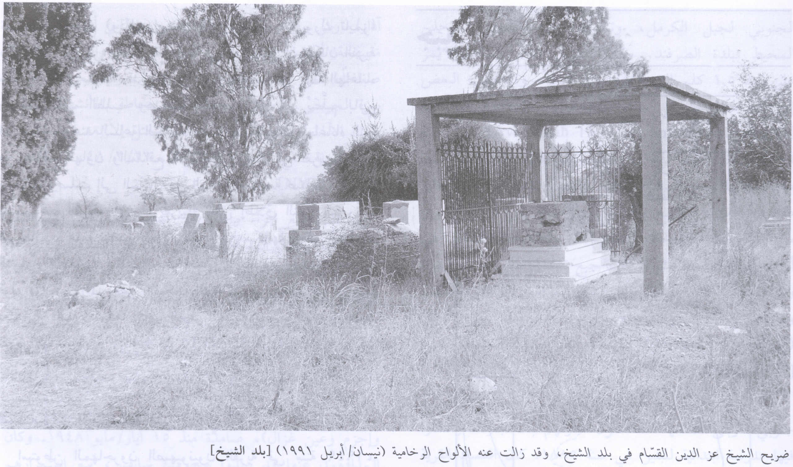 صورة لقرية بلد الشيخ - فلسطين: : قبر المجاهد السوري عز الدين القسامي، 1991. إستشهد المجاهد في أحراش يعبد (جنين) في 20 تشرين ثاني، 1935 وأصلاً هو سوري الجنسية ولد في مدينة الاذقية التي اُبعد عنها بسبب نشاطاته المناهضة للاحتلال الفرنسي.