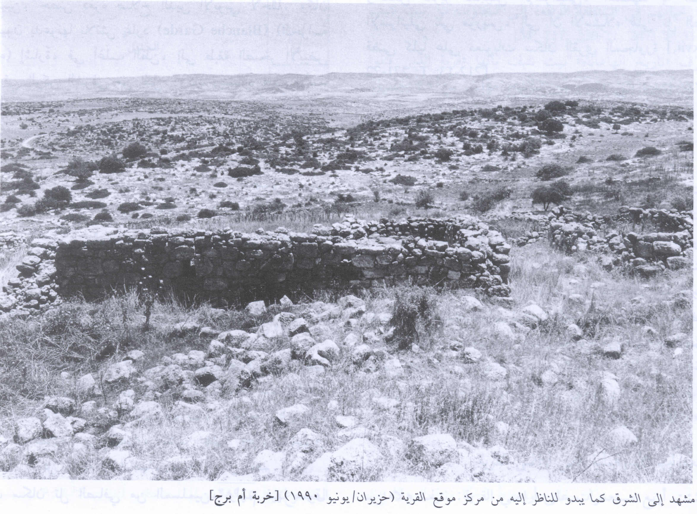 صورة لقرية خربة أم برج - فلسطين: : منظر في الاتجاه الشرقي للقرية التي دمرها الصهاينة وطهروا سكانها عرقياً، اُنقر الصورة لتكبيرها. 1990