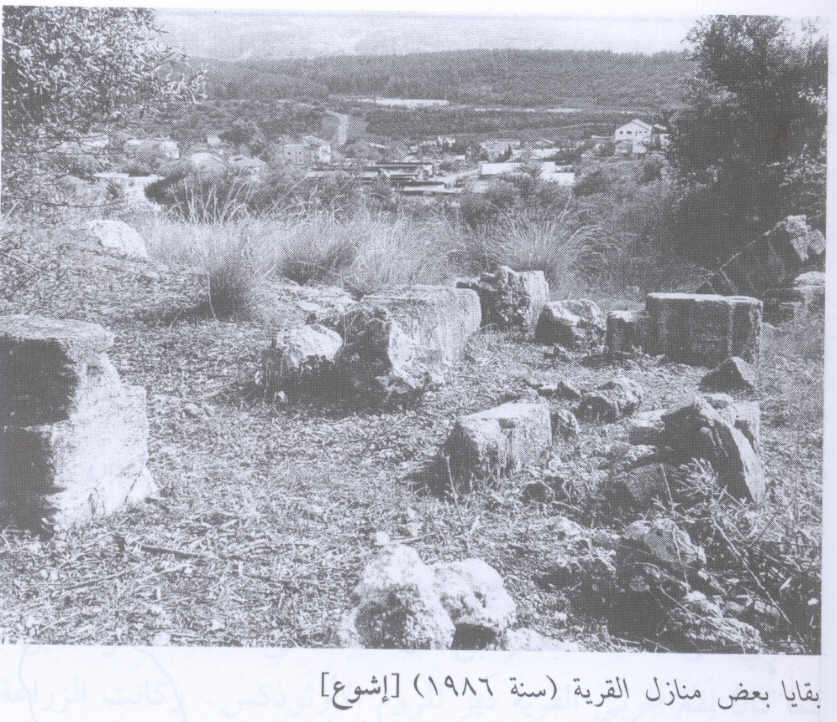 صورة لقرية إشوع - فلسطين: : أطلال دمار بيوت القرية المدمرة واضحة #2