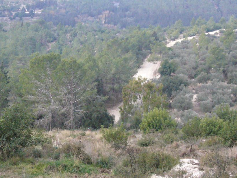 صورة لقرية عسلين - فلسطين: : مظر عام لمركز القرية والاراضي المحيطة