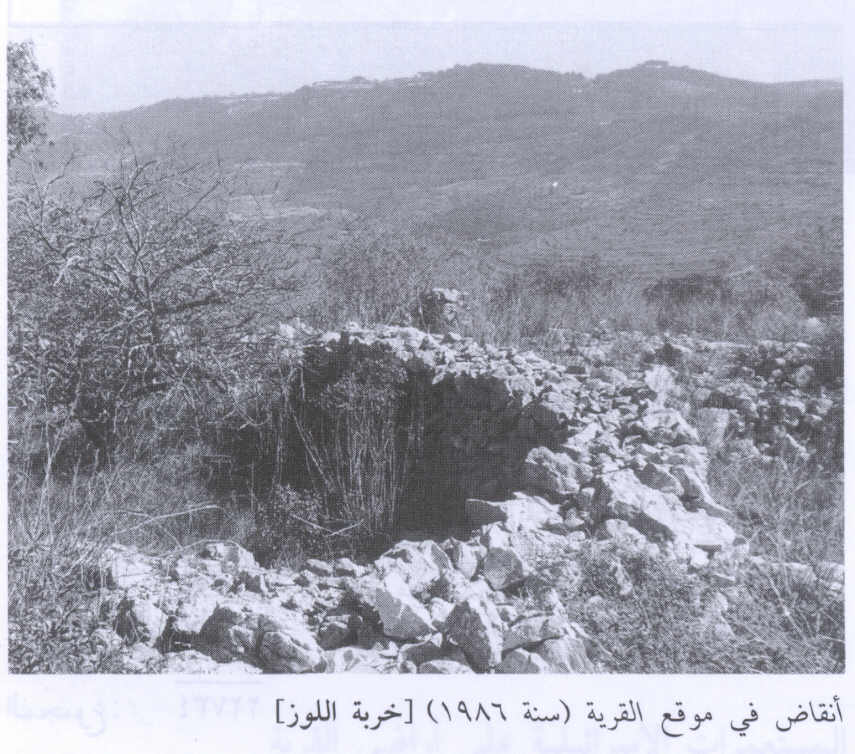 صورة لقرية خربة اللوز - فلسطين: : منظر لموقع القرية التي دمرها الصهاينة وطهروا عرقيا مواطنيها-1986. أطلال بيوت القرية المدمرة واضحة.