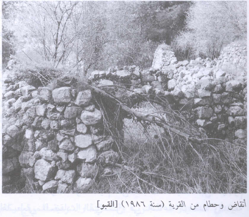 صورة لقرية القبو - فلسطين: : أطلال لإحدى البيوت المدمرة. 1986