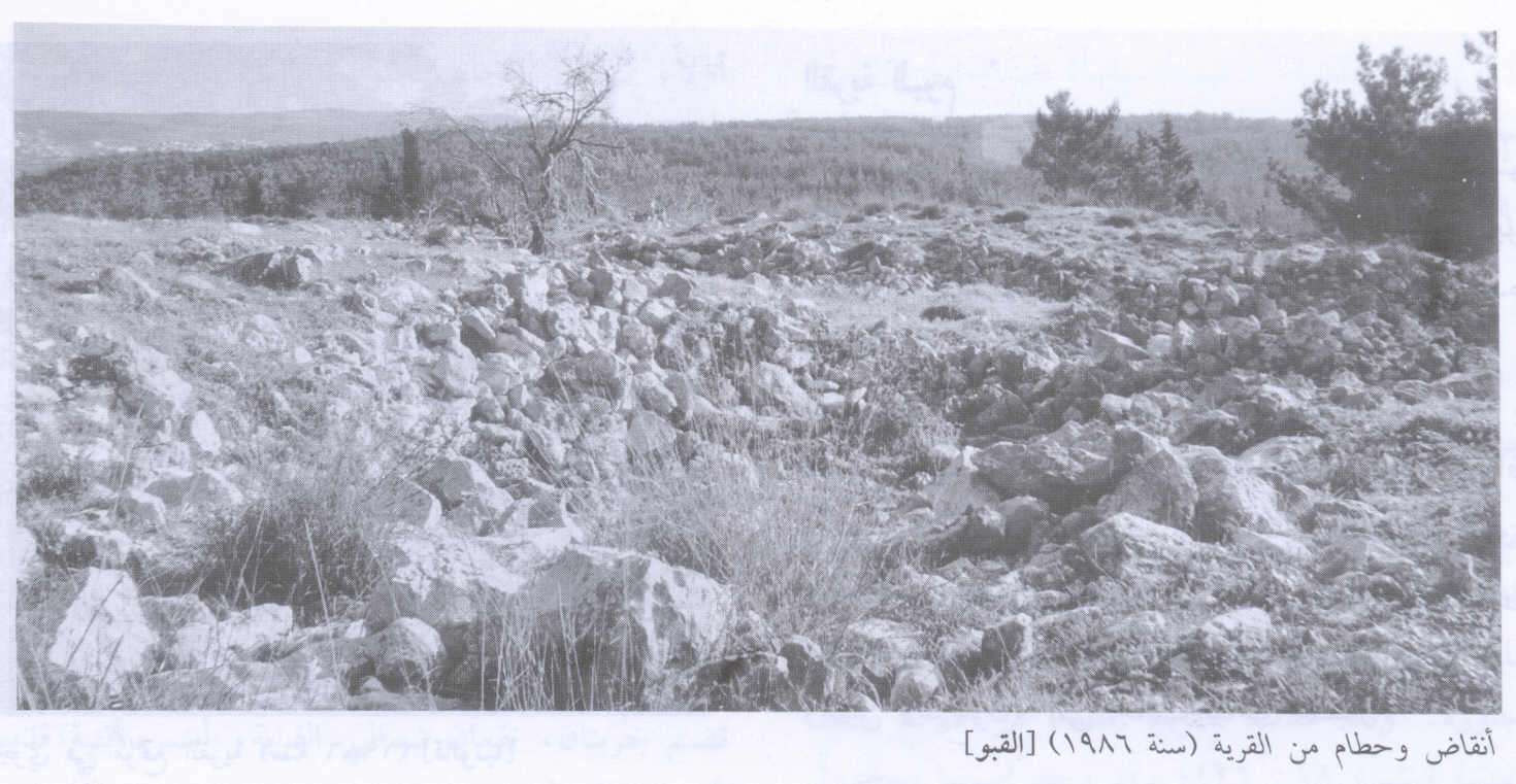 صورة لقرية القبو - فلسطين: : منظر لموقع القرية التي دمرها الصهاينة وطهروا مواطنيها عرقيا، 1986. أطلال بيوت القرية المدمرة واضحة.