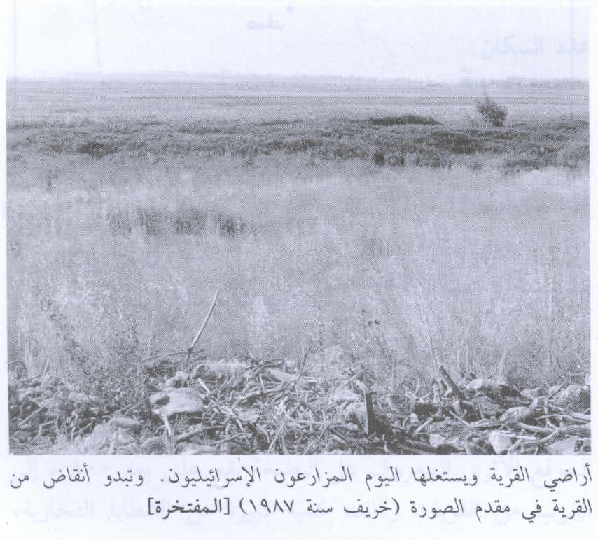 صورة لقرية المفتخرة - فلسطين: : منظر لموقع القرية التي دمرها الصهاينة وطهروا سكانها عرقياً. أطلال بيوت القرية المدمرة واضحة. 1987