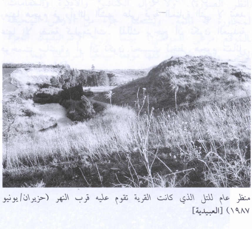 صورة لقرية العبيدية - فلسطين: : منظر لتل العبيدية المجاور لنهر الأردن-1987