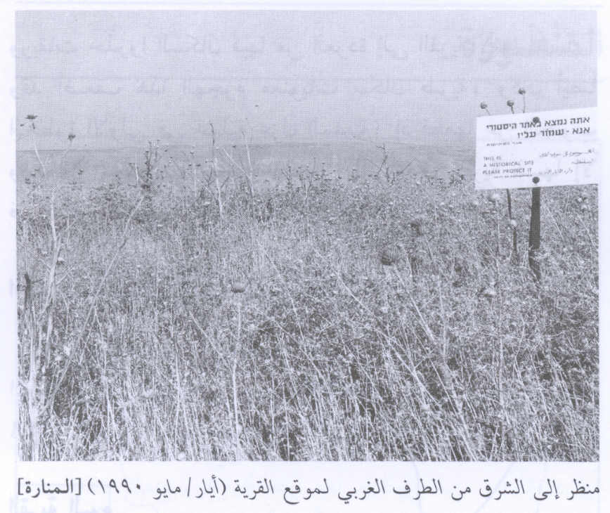 صورة لقرية المنارة - فلسطين: : منظر في الاتجاه الشرقي اُخذ من الجهة الغربية للقرية المغتصبة. 1990