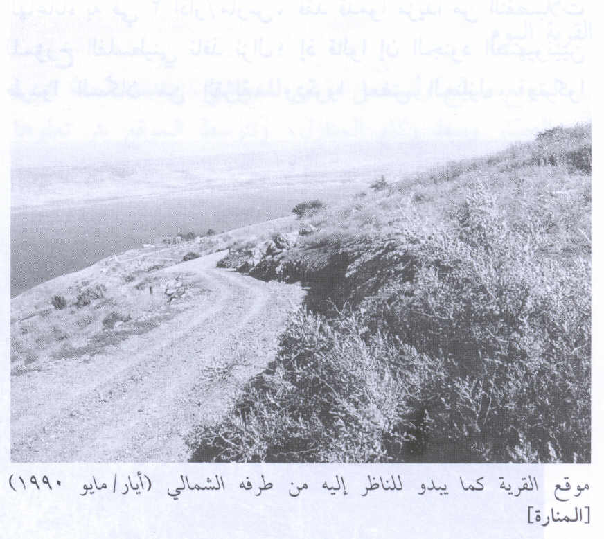 صورة لقرية المنارة - فلسطين: : مركز القرية المدمرة من الحدود الشمالية. 1990